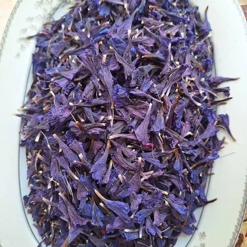 تصویر 4 از خرید و قیمت گل گاو زبان ممتاز + فروش عمده
